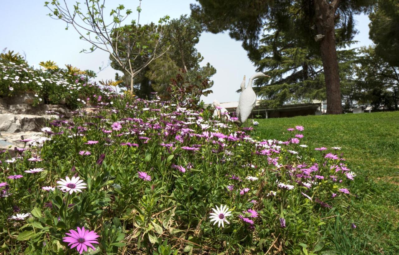 Hacienda Forest View Hotel Maalot Tarshiha Bagian luar foto